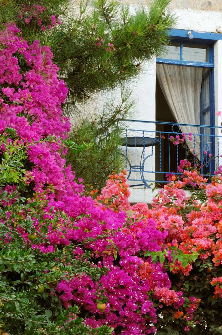 Deco Crete LLC