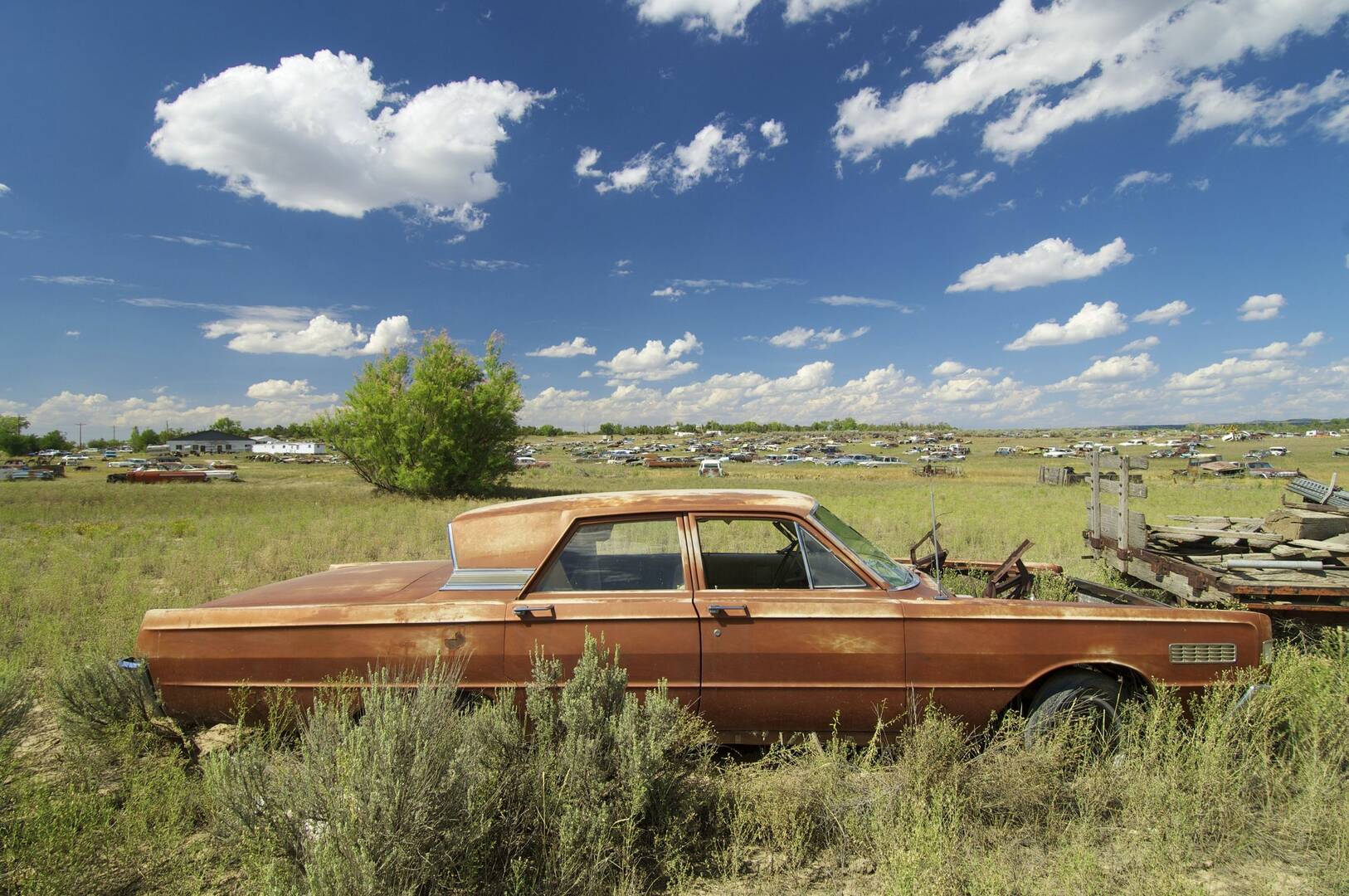 City Auto Wreckers